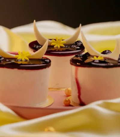 beautifully plated Cheesecake in Pokhara with a subtle blueberry accent, showcased at Kathmandu Fresh Bakery.